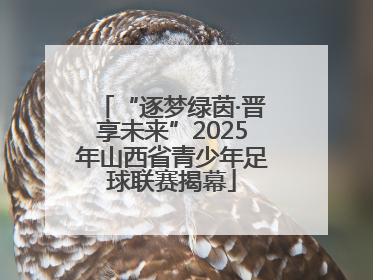 “逐梦绿茵·晋享未来”2025年山西省青少年足球联赛揭幕
