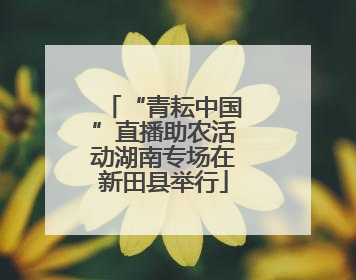 “青耘中国”直播助农活动湖南专场在新田县举行