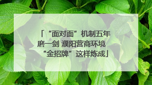 “面对面”机制五年磨一剑 濮阳营商环境“金招牌”这样炼成