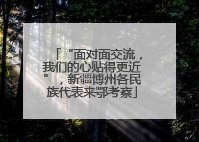“面对面交流，我们的心贴得更近”，新疆博州各民族代表来鄂考察
