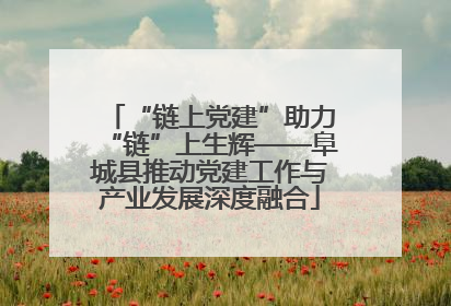 “链上党建”助力“链”上生辉——阜城县推动党建工作与产业发展深度融合