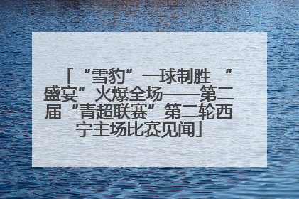 “雪豹”一球制胜 “盛宴”火爆全场——第二届“青超联赛”第二轮西宁主场比赛见闻
