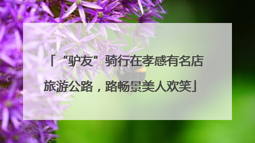“驴友”骑行在孝感有名店旅游公路，路畅景美人欢笑