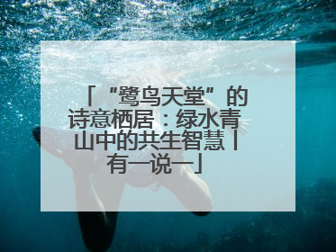 “鹭鸟天堂”的诗意栖居：绿水青山中的共生智慧丨有一说一