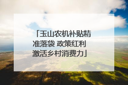 玉山农机补贴精准落袋 政策红利激活乡村消费力