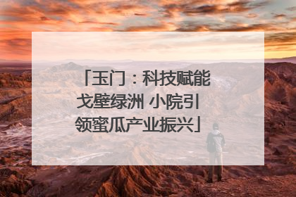 玉门：科技赋能戈壁绿洲 小院引领蜜瓜产业振兴