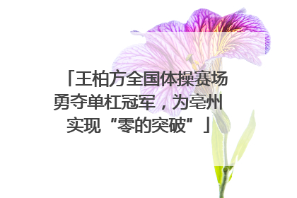 王柏方全国体操赛场勇夺单杠冠军，为亳州实现“零的突破”