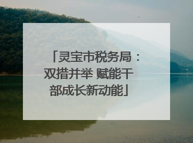 灵宝市税务局：双措并举 赋能干部成长新动能