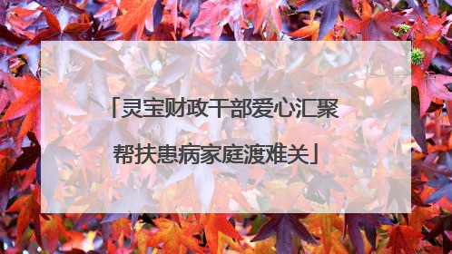 灵宝财政干部爱心汇聚 帮扶患病家庭渡难关