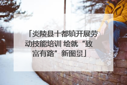 炎陵县十都镇开展劳动技能培训 绘就“致富有路”新图景