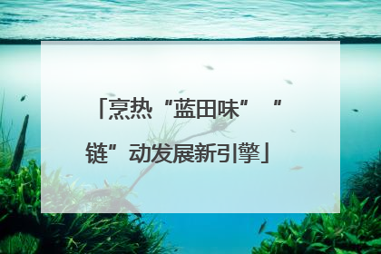 烹热“蓝田味”“链”动发展新引擎