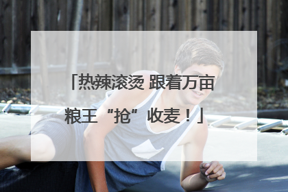 热辣滚烫 跟着万亩粮王“抢”收麦！