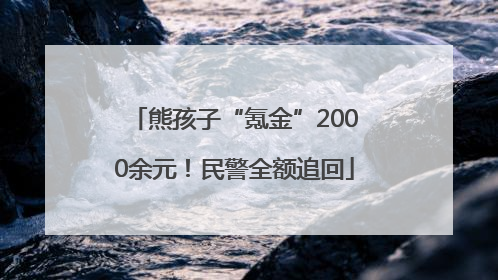 熊孩子“氪金”2000余元！民警全额追回
