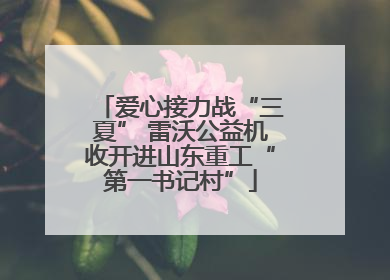 爱心接力战“三夏” 雷沃公益机收开进山东重工“第一书记村”