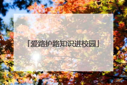 爱路护路知识进校园