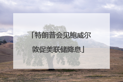 特朗普会见鲍威尔 敦促美联储降息