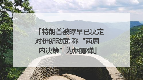 特朗普被曝早已决定对伊朗动武 称“两周内决策”为烟雾弹