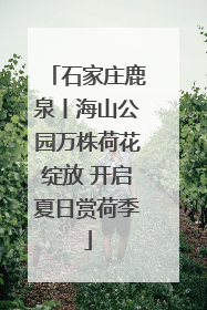 石家庄鹿泉丨海山公园万株荷花绽放 开启夏日赏荷季