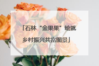石林“金果果”绘就乡村振兴共富图景