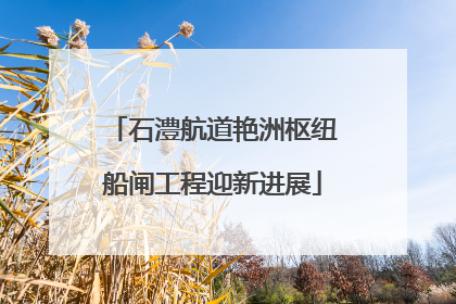 石澧航道艳洲枢纽船闸工程迎新进展