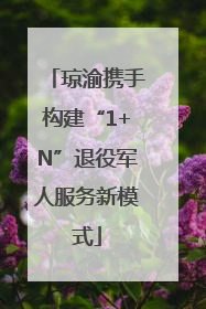 琼渝携手构建“1+N”退役军人服务新模式