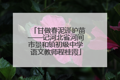甘做春泥谨护苗——记河北省河间市景和镇初级中学语文教师程桂霞