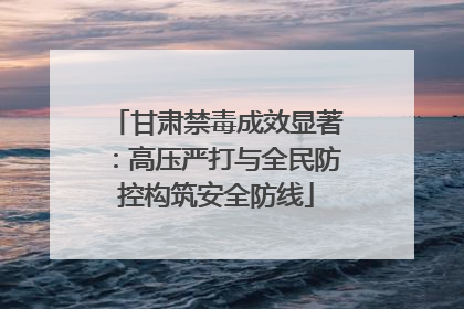 甘肃禁毒成效显著：高压严打与全民防控构筑安全防线
