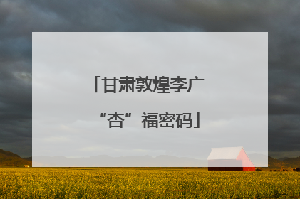 甘肃敦煌李广“杏”福密码