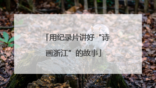 用纪录片讲好“诗画浙江”的故事