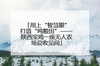 用上“智慧眼” 打造“吨粮田”——陕西宝鸡一座无人农场夏收见闻