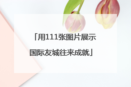 用111张图片展示国际友城往来成就