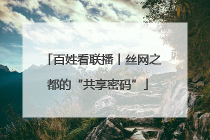 百姓看联播丨丝网之都的“共享密码”