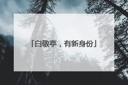 白敬亭，有新身份