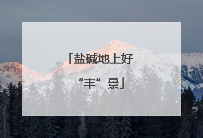 盐碱地上好“丰”景