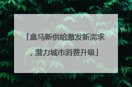盒马新供给激发新需求，潜力城市消费升级