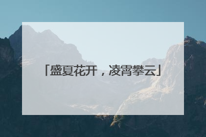盛夏花开，凌霄攀云