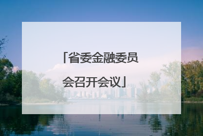 省委金融委员会召开会议