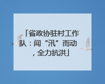 省政协驻村工作队：闻“汛”而动，全力抗洪