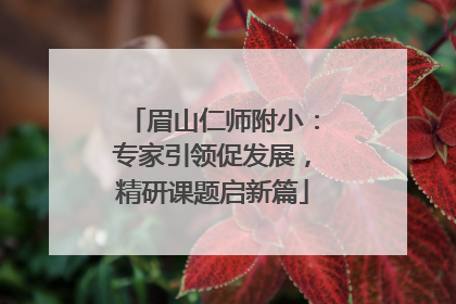 眉山仁师附小：专家引领促发展，精研课题启新篇