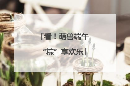 看！萌兽端午“粽”享欢乐