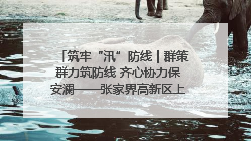 筑牢“汛”防线｜群策群力筑防线 齐心协力保安澜——张家界高新区上下众志成城迎战汛情