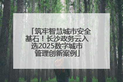 筑牢智慧城市安全基石！长沙政务云入选2025数字城市管理创新案例