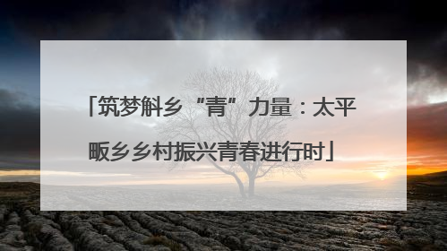 筑梦斛乡“青”力量：太平畈乡乡村振兴青春进行时