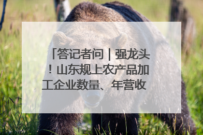答记者问｜强龙头！山东规上农产品加工企业数量、年营收均居全国首位