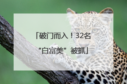 破门而入！32名“白富美”被抓