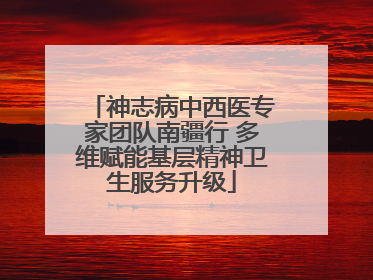 神志病中西医专家团队南疆行 多维赋能基层精神卫生服务升级
