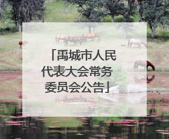 禹城市人民代表大会常务委员会公告