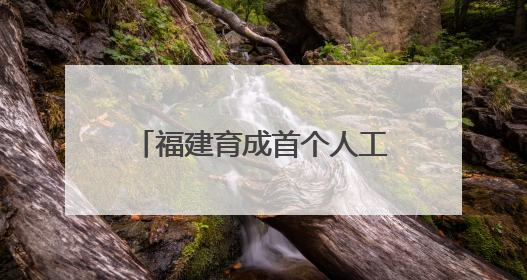 福建育成首个人工杂交早熟黄桃品种