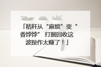 秸秆从“麻烦”变“香饽饽” 打捆回收这波操作太赚了！