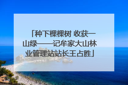 种下棵棵树 收获一山绿——记牟家大山林业管理站站长王占胜